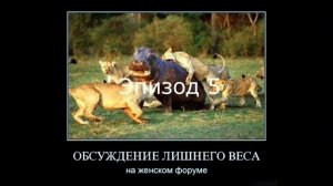Приколы с озвучкой - Львы