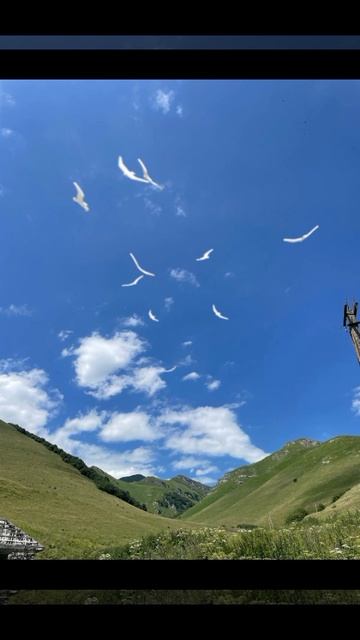 Позитивчик🎼 смотреть онлайн