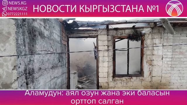1000СОМ ЖОО ЖУРУП ЭРЕЖЕНИ БУЗГАНДАРГА/ АЯЛ УЙ БУЛОСУН ОРТТОП САЛДЫ/ ЭЛИБИЗ ТАРТИПТИ САГЫНЫПТЫР