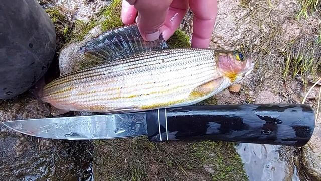 "Хариус 7" проход в ноги..;) Шутки шутим.. смотреть онлайн