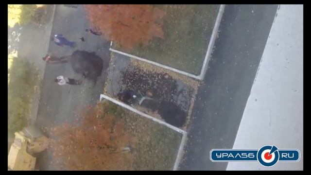 Видеоурок от дорожников Орска смотреть онлайн