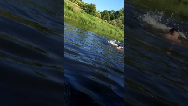 Приколы и ржач, рыбаки поймали "русала" - Fun and rzhach, fishermen caught "RUSAL" смотреть онлайн