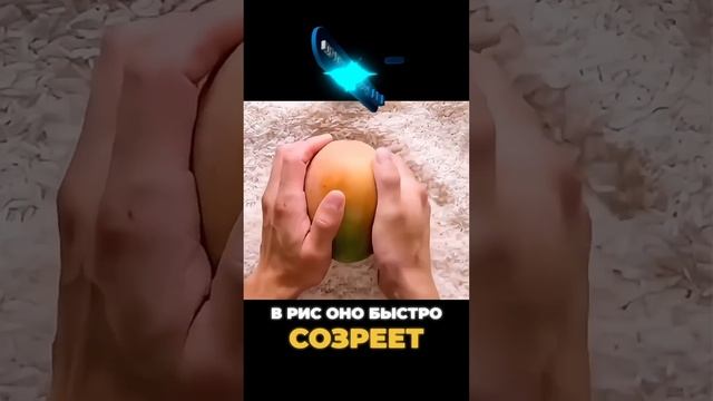 #лайфхаки #хочуфакты #лайфхак #топ #интересно смотреть онлайн