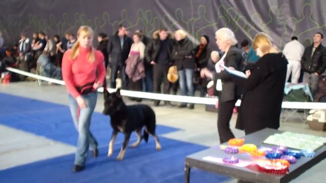 Больше статей и видео на allbestdog.ru смотреть онлайн