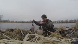 Весенняя охота в Сибири с подсадной уткой 2 сезон 2025.