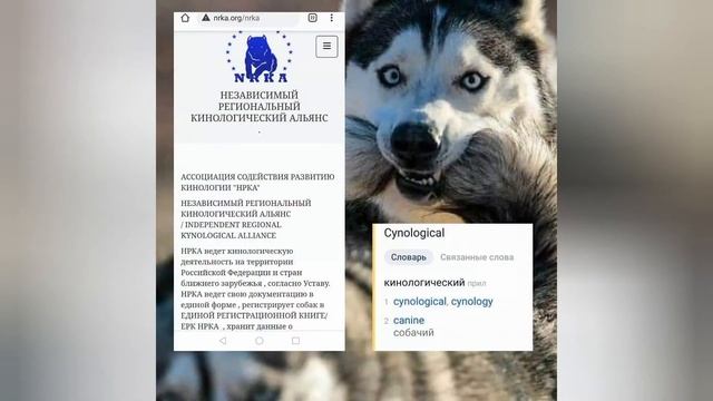 Чемпионат Германии и Англии 2021, Halloween НРКА UCI Марии Пащук смотреть онлайн