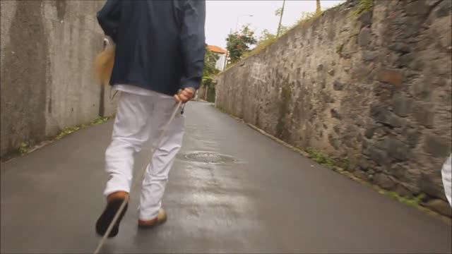 Португалия. Мадейра. Спуск на деревянных санях по улицам города Фуншал (карру де сешту).