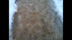 Как победить гололед? Посыпать солью. Экспериментальное исследование