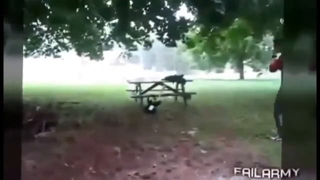 10 Видео приколы Смотри! смотреть онлайн