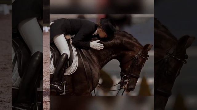 #конныйспорт #horse #equestrian #riding #конкур #лошади смотреть онлайн