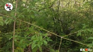 Дочь потеряла отца, а тот умер от передоза?