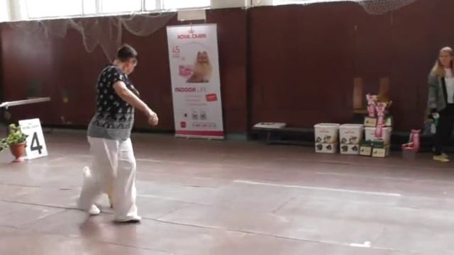 БИС тоев Челябинск 2016 смотреть онлайн