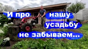 #254 Работа на нашей усадьбе. Высадка помидоров в теплицу.