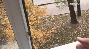 Плунжерная москитная сетка. Монтаж сетки. Замер сетки