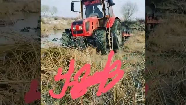 Belarus 1220.5 смотреть онлайн