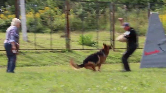 Очередной дисквал. смотреть онлайн