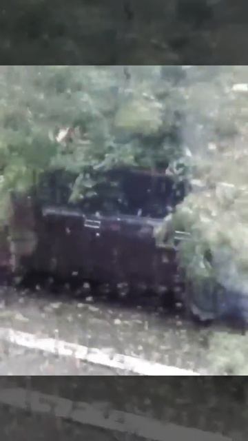 В Сочи на автомобиль упало дерево