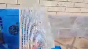 Инкубатор на 128 яиц