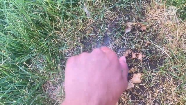 How To Adjust A K-Rain RN100 Sprinkler Nozzle