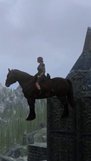 САМЫЙ СТРАННЫЙ БАГ В СКАЙРИМЕ #games #gaming #skyrim #скайрим #приколы смотреть онлайн
