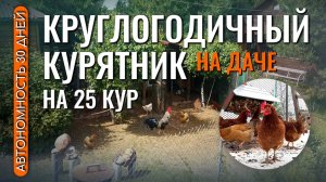 КРУГЛОГОДИЧНЫЙ курятник на даче на 25 кур с автономностью 30 суток