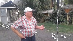 Турне по голубеводам Донбасса. Часть 2: "В гостях у Витарки Федотова".
