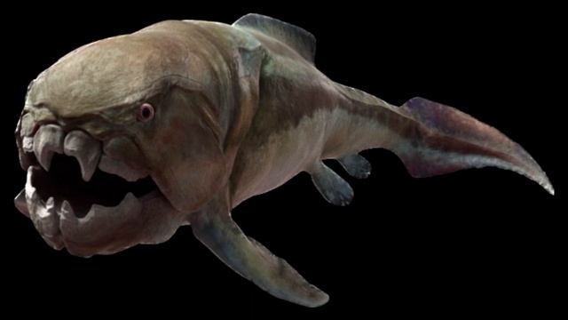 Dunkleosteus Tribute смотреть онлайн
