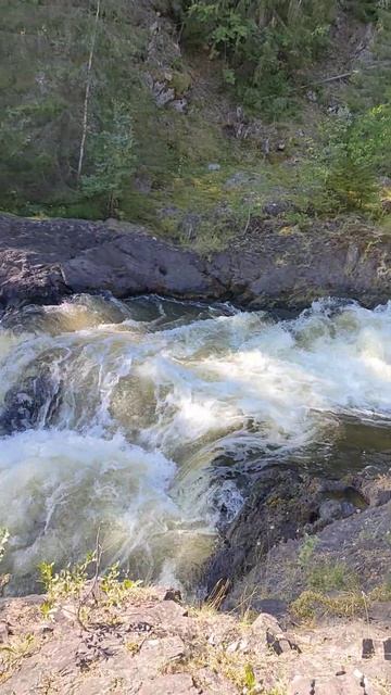 Кивач водопад (вертикально) Август 2023 смотреть онлайн