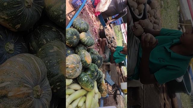 Шри Ланка смотреть онлайн