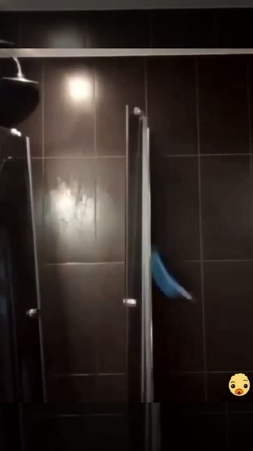 Когда решил заняться спортом 😉✌️😂😂😂 смотреть онлайн