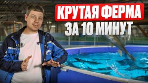 Это ИДЕАЛЬНЫЙ КОМПЛЕКТ для УЗВ в 2025 _ Как правильно выбрать оборудование для рыбной фермы с нуля_