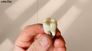 Как слепить Зуб из пластилина / Человеческий Зуб из пластилина / как сделать Зуб