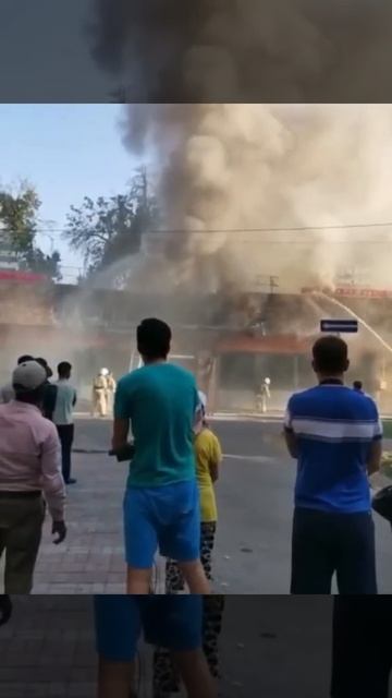 Жарокова- Жамбыла кафе Динара. Алматы. смотреть онлайн