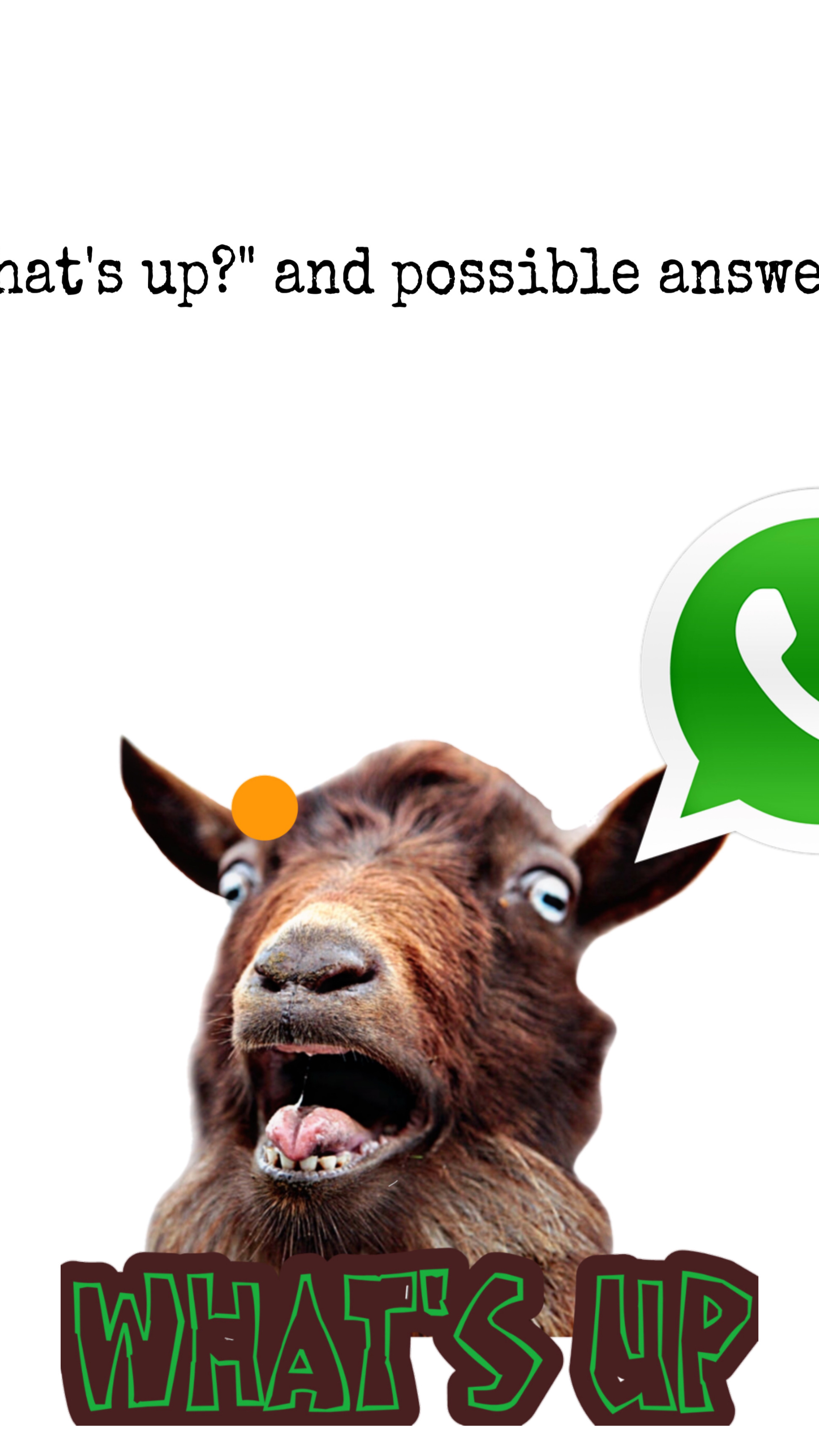 What's up и как на это ответить смотреть онлайн