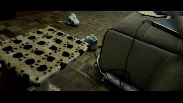 Самые смешные приколы с котами 2013 САМЫЕ СМЕШНЫЕ КОТЫ 1 HD смотреть онлайн