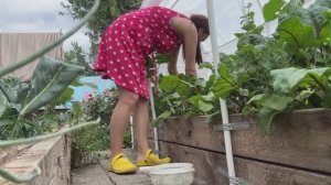 СРОЧНО ВЕРНУЛИСЬ В КРАСНОДАР / Сделали кухню / Самый большой огурец.