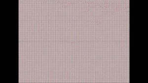 8 800 555 35 35 1.048.576 РАЗ
