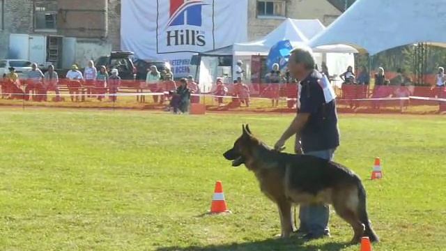 Лексос ф Лархенхайн, Главная выставка России 2013 г. смотреть онлайн
