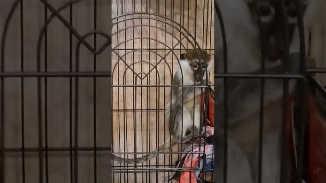 2 марта 2023 г. смотреть онлайн