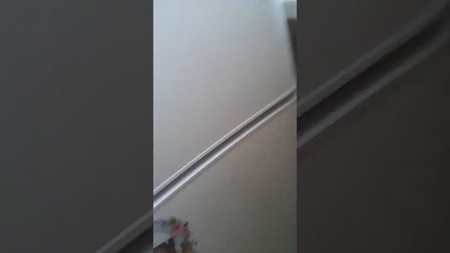 Басик сошёл с ума, сожрал 2чашки каши и курицы😱😱😱😱😨😵 смотреть онлайн