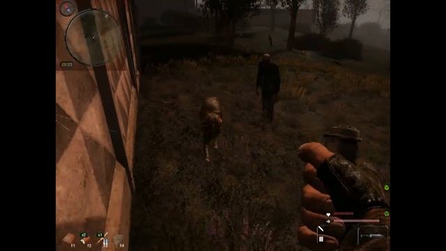 S.T.A.L.K.E.R Как приручить кота? =) смотреть онлайн