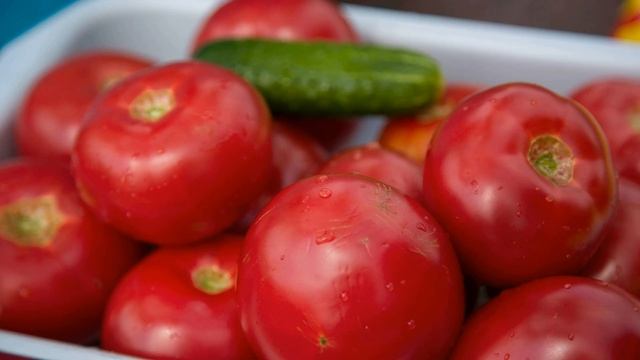 Веселая компания на даче. смотреть онлайн