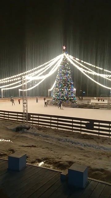 19 марта 2022 г.Елагин остров каток смотреть онлайн