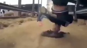 корова срет под дабстеп ЖЕСТЬ но теперь тут денсит чел