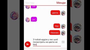 шип~менди+Честер прода?