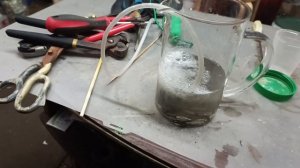 Jin Chan (золотая цикада) против советской позолоты😉плюс разговор по душам 😁