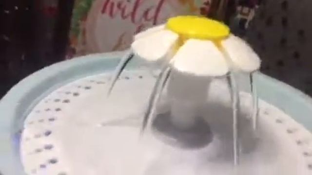 Water Fountain Video смотреть онлайн