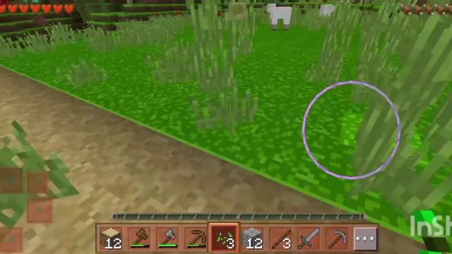 1000015327.mp4 смотреть онлайн