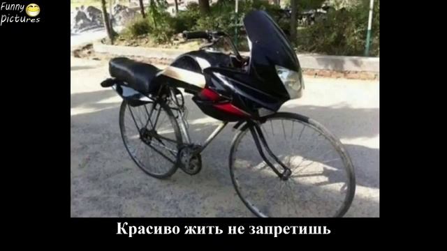 Лучшие Приколы со всего мира, лапы и хвосты, лучшие приколы 2016 смотреть онлайн