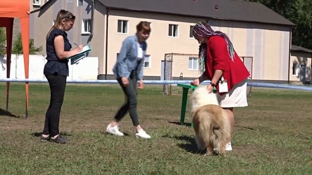 05 06 21, с юн, ЛЮ смотреть онлайн